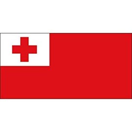 Super Tough USA-Made Tonga 3ft x 5ft Banner Flag | Heavyweight, Durable Nylon | Patriotic Banner Flag with Only Pole Hem | Suitable for Outdoor Use