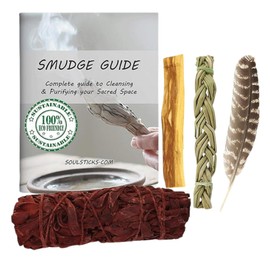 Ancient VEDA Organic Smudge Kit – Dragon's Blood, Palo Santo, Sweetgrass Braid, Feather & Smudge Guide | Home Cleansing Kit for Meditation, Yoga, Energy Healing (Starter Kit, Dragon's Blood Sage)