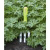 FloraBrite Yellow Garden Hand Fork By Burgon & Ball