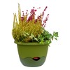 Schumm Blumenampel Mareta, 25 cm Durchmesser