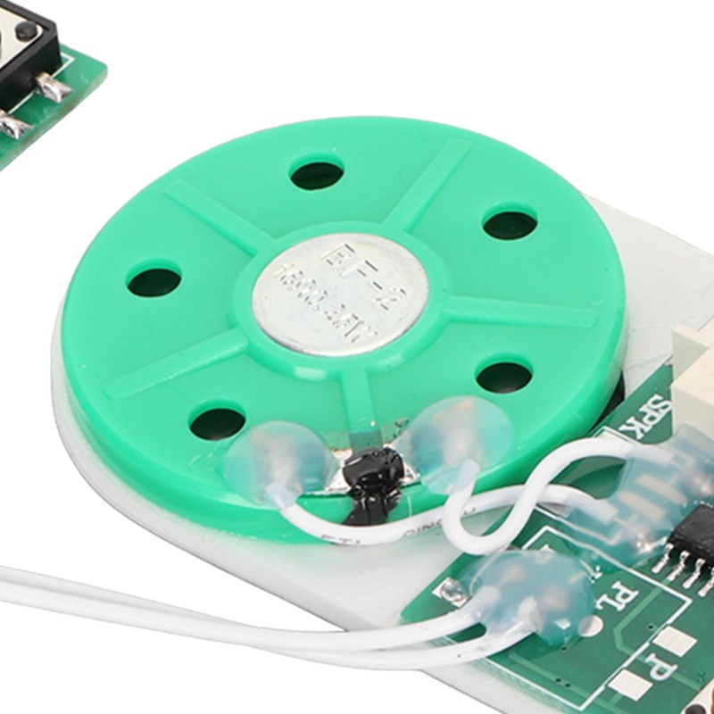 Writeable Sound Chip, Sound Voice Recording Playback Module with Double-Sided
