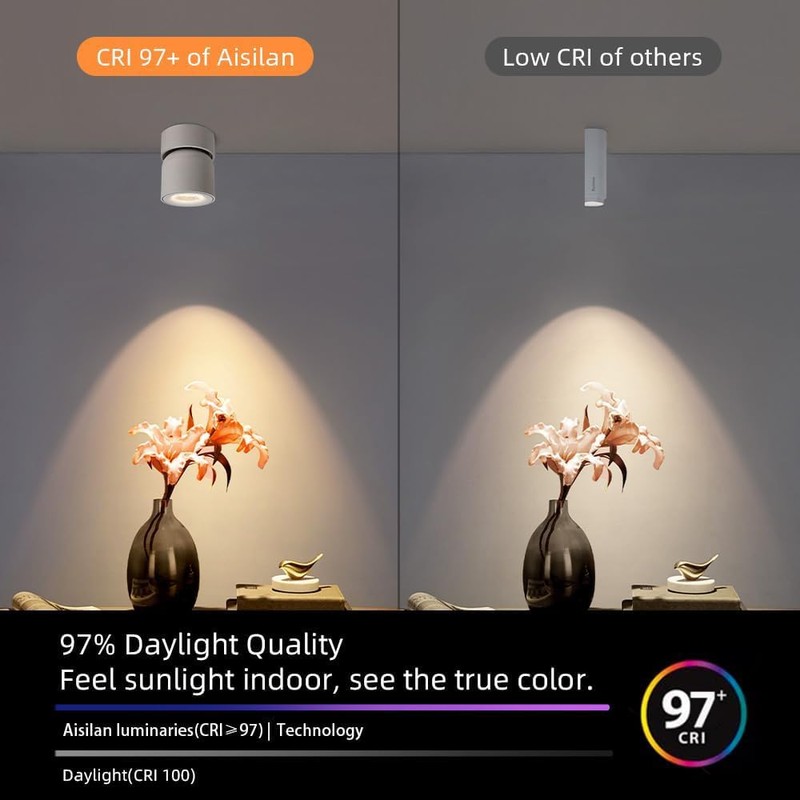 Aisilan LED Indoor White Ceiling Spot Light 9W Surface Mounted