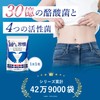 酪酸菌 サプリ 腸活 乳酸菌 30億個の酪酸菌とサポート成分（糖化菌ｘオリゴ糖7種ｘ19種の善玉菌を配合）菌トレ習慣30錠入り
