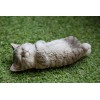 Hi-Line Gift Sleeping Cat Gray/Orange-Ga - Gray