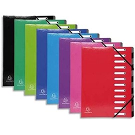 Exacompta Harmonika 12 Compartment Folder with Dividers - Assorted