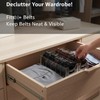 Hualinsyi Belt Organizers 2-Pack Clear with Removable Dividers - 5