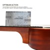 Kadence Concert Ukulele 23" Spring Summer Collection of Ukuleles- Matt