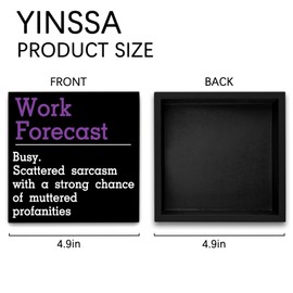 Funny Coworker Gifts Desk Decor ​Appreciation Inspirational Gifts For Coworker Social Worker Boss Colleagues Partner Work Anniversary Present Office Decor For Women Men Cubicle Decor ​