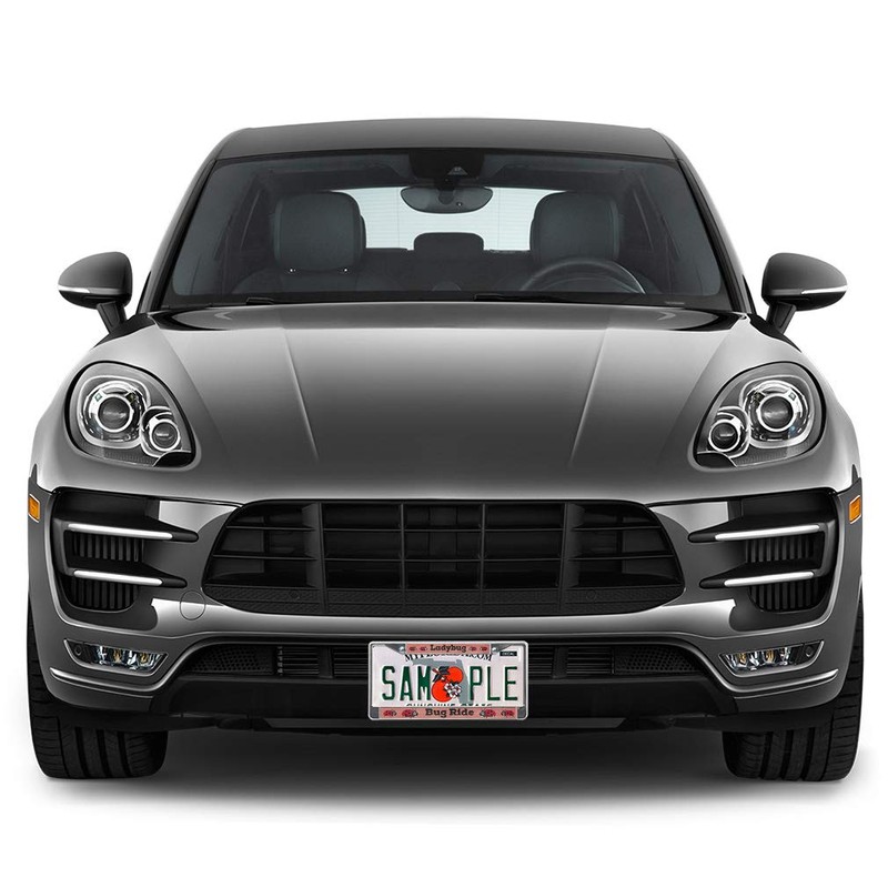 Fastasticdeals Metal Insert License Plate Frame Lady Bugs on Ride