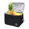 Asonen Insulated Lunch Bag Thermal Cooler Lunch Bag 13L 29