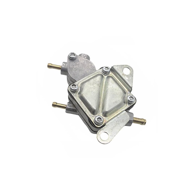 CADICATV 0454953 0454395 Fuel Pump Fits For Polaris RZR 170