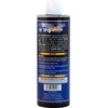 Gliptone Professional Car Care Blizzard Shield Foam Cannon Protectant (16