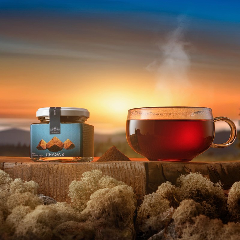 VisioFoods - Chaga 6 - Dual Extracted Chaga Mushroom Extract