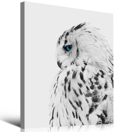 Wild Animals Canvas Wall Art Black&White Snowy Owl Pictures Wall Decor Blue-eyed Wildlife Owl Painting Prints Modern Birds Artwork Framed for Living Room Bedroom Home Office Decoration, 12''x16''x1Pcs