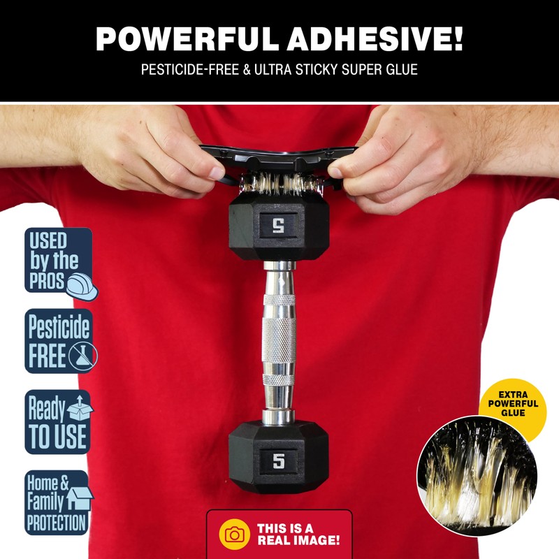 Catchmaster Mouse & Insect Glue Traps 6-Pk, Adhesive Rodent &