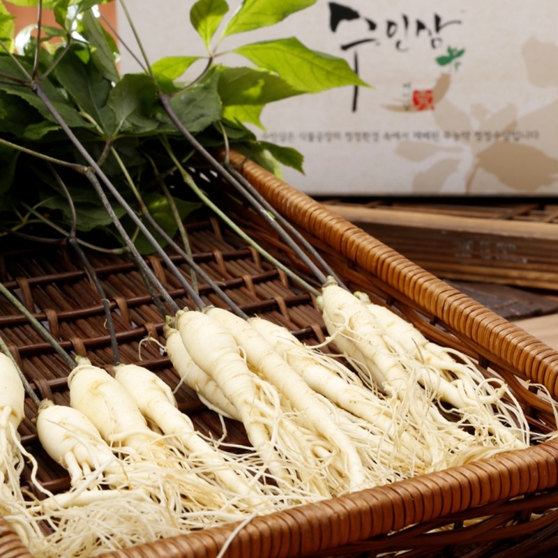 2+1 Phytopresso Fatigue Red Ginseng Extract Appraiser’s Parents’ Chuseok Gift