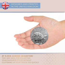 Destination Vinyl ltd Magnet for Refrigerator, Fridge BW - Cute Tiny Tortoise Pet Animals Turtle for Office, Cabinet and Whiteboard, Magnetic Stickers, 40974