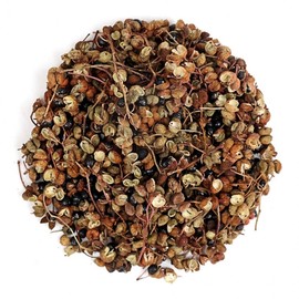 Fresh Herb Korean Prickly Ash (Chopi) 100g Prickly Ash Berries