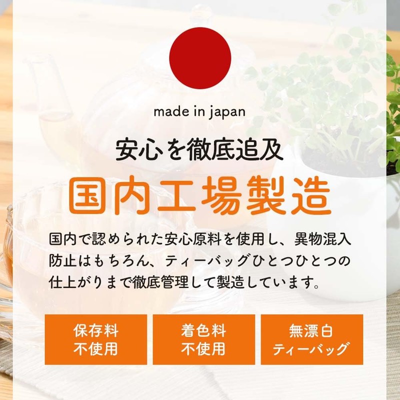 オーガランド コンブチャ×キャンドルブッシュ sururi 茶 エキナセア チャーガ キャンドルブッシュ茶 (100包, ブレンド)