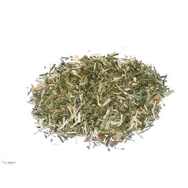 Ice Green Tea 70 g Fresh Tee-Meyer