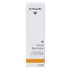 Dr. Hauschka Tinted Day Cream, 30 ml