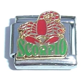 Scorpio Scorpion Italian Charm