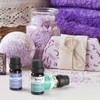 Phatoil Aroma Oil, 6 Types Trial Set, Essential Oil Set,