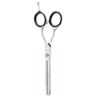 Aashta Hairdressing Scissors 5.5 Inches