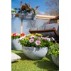 TS Planter Basket Cera Nova Mix Frost Resistant and Lightweight,