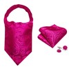 Barry.Wang Men Ascot Cravat Tie with Pocket Square Cufflinks Tie