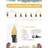 2 Pack C6 Christmas Lights Outdoor Indoor, Total 200 LED