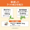 山田養蜂場 ノンアルツプラス「メタクリア」（120粒/約30日分） カテキン マルベリー 桑 緑茶 サプリ サプリメント