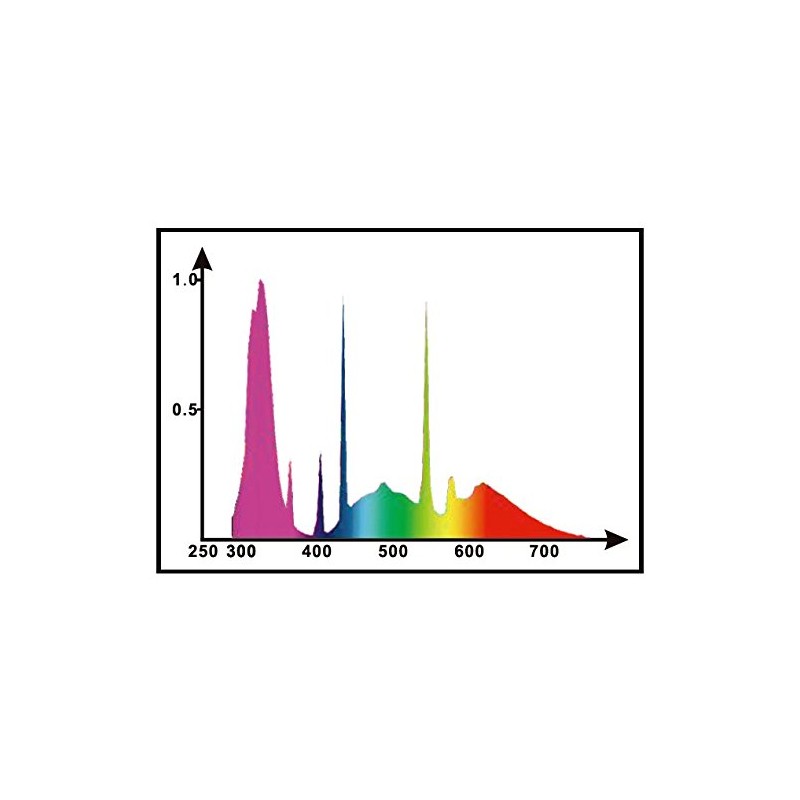 LUCKY HERP Compact Bird Lamp Lighting Bulb, 2.4% UVB, 20W,Screw