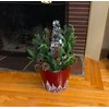 Worth Imports Red Galvanized Metal Christmas Planter Bucket with Tree