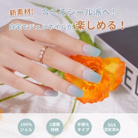 DANNI&TONI Gel Nail Seal, Hardening Type, Nail Seal, Gel Nail Seal, Nail Seal, Gel Nail Seal, Nail Parts, Gel Nail Kit, Color Gel, Long Lasting (Light Blue, 28 Pcs)