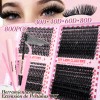 Kit De Extensiones Pestañas 800racimos Volumen D-mix 8-16mm