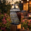 Solar Owl Garden Statue for Outdoor Decor – Glowing Eyes