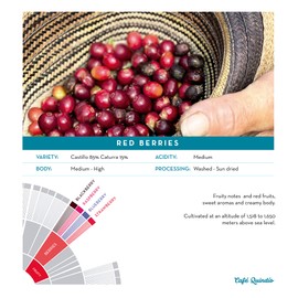 Cafe Quindio Specialty Harvest Roasted Coffee, 100% Colombian Excelso Coffee, (Red Berries Notes, Whole Bean 8.8 oz / 250g)