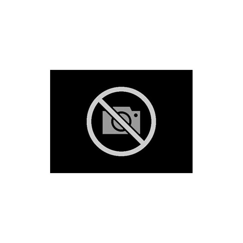 MANN-FILTER CF 924 - Sekundärelement Luftfilter – Für Nutzfahrzeuge