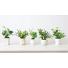 山久 造花 インテリア CT触媒加工のグリーンミニポット 5個おまかせセット 姫グリーン 観葉植物 0910-9010a 人工観葉植物 フェイクグリーン