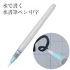 Kuretake KN37-51 Brush Pen, Water Book, Practice Set