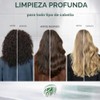 Champú y acondicionador Prell, 13.5 onzas líquidas