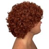My Costume Wigs Orphan Annie Wig One Size Fits All