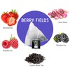 Berry Fields, Wild Berries Black Tea in Tea Bags Individually