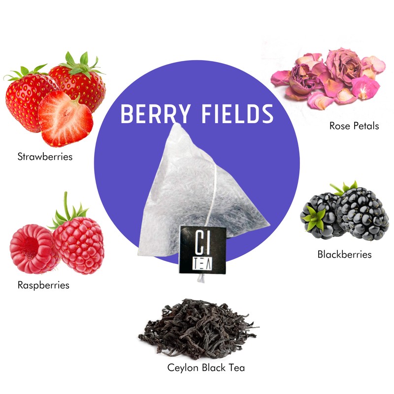Berry Fields, Wild Berries Black Tea in Tea Bags Individually