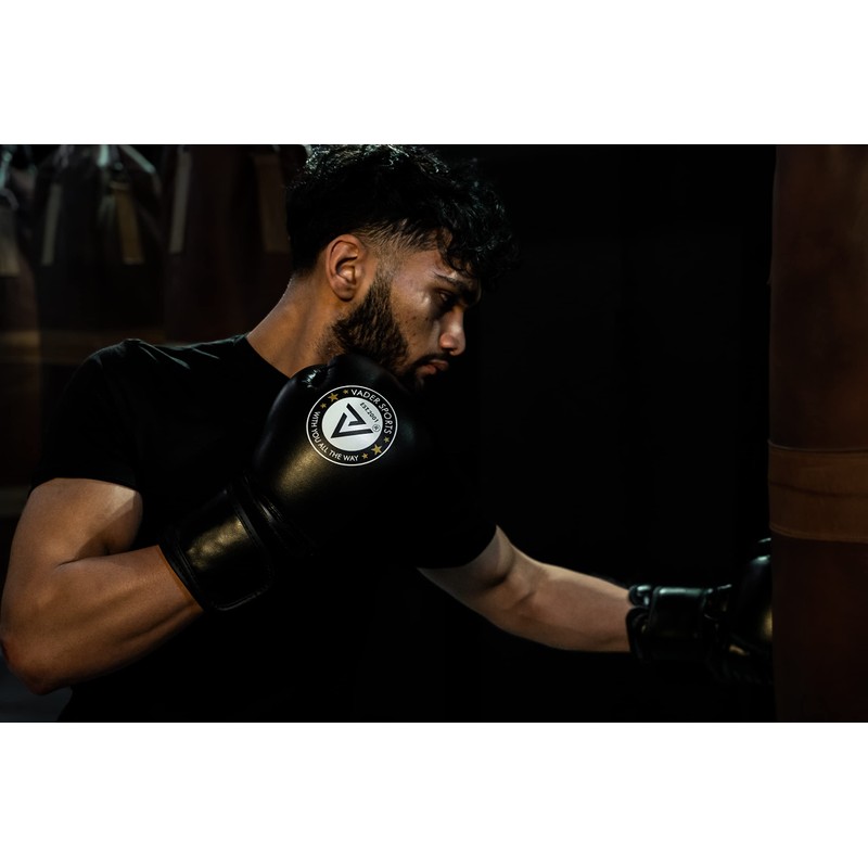 Boxing sparing punching pads and bag glove rex leather +