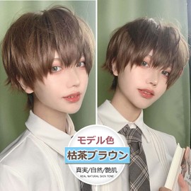 INMAN Full Wig, Wig, Men's, Short, Short Hair, Natural, Heat Resistant