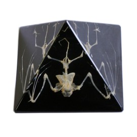 REALBUG Bat Skeleton Pyramid