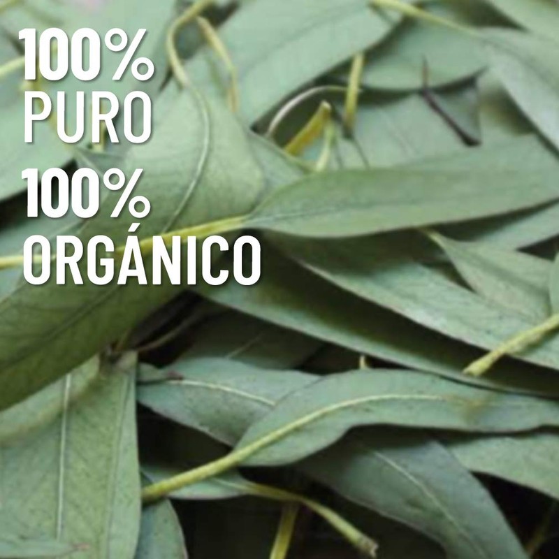 OLEUM VITAE Aceite Esencial de Eucalipto 30ml. Eucalyptus Globulus 100%