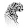 2 Blätter Temporary Leopard Tattoo Gepard Tattoo Tier Tattoo TH227x2